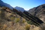 photo thumbnail #10