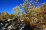 photo thumbnail #12