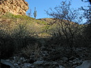 photo thumbnail #3