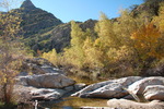 photo thumbnail #2
