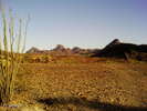 photo thumbnail #5
