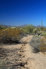 photo thumbnail #2