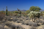 photo thumbnail #3