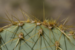 photo thumbnail #3