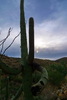 photo thumbnail #2