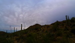 photo thumbnail #3