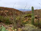 photo thumbnail #4