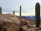 photo thumbnail #5