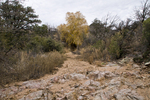 photo thumbnail #15