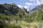 photo thumbnail #1