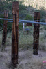 photo thumbnail #10