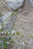photo thumbnail #15