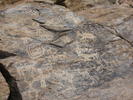 photo thumbnail #13