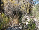 photo thumbnail #9