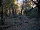 photo thumbnail #11
