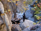 photo thumbnail #14
