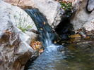 photo thumbnail #15