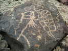 photo thumbnail #3