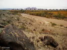 photo thumbnail #11