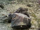 photo thumbnail #12