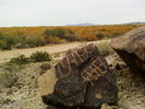 photo thumbnail #13