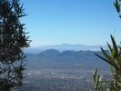 photo thumbnail #3