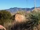 photo thumbnail #4