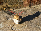 photo thumbnail #2