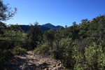 photo thumbnail #2