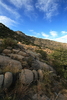 photo thumbnail #9