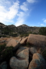 photo thumbnail #11