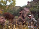 photo thumbnail #7
