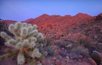 photo thumbnail #5