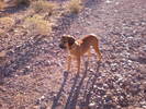 photo thumbnail #1