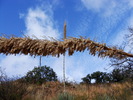 photo thumbnail #15