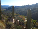 photo thumbnail #5