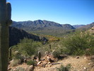 photo thumbnail #6