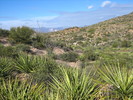 photo thumbnail #9