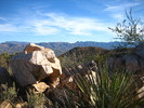 photo thumbnail #12