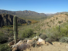 photo thumbnail #4