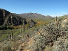 photo thumbnail #6