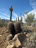 photo thumbnail #12