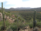 photo thumbnail #14