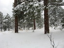 photo thumbnail #1