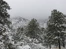 photo thumbnail #2