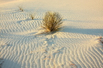 photo thumbnail #15