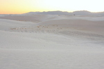 photo of comment