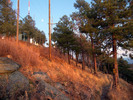photo thumbnail #7