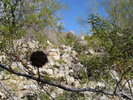 photo thumbnail #8