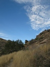 photo thumbnail #3